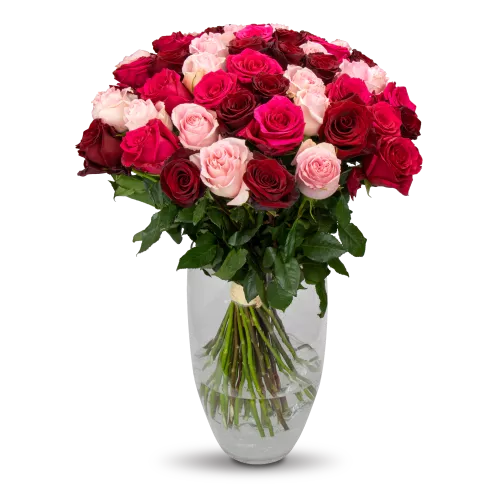 kytice ekvádorských růží